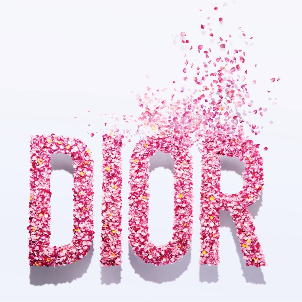 DIOR - Picture 3 of 8